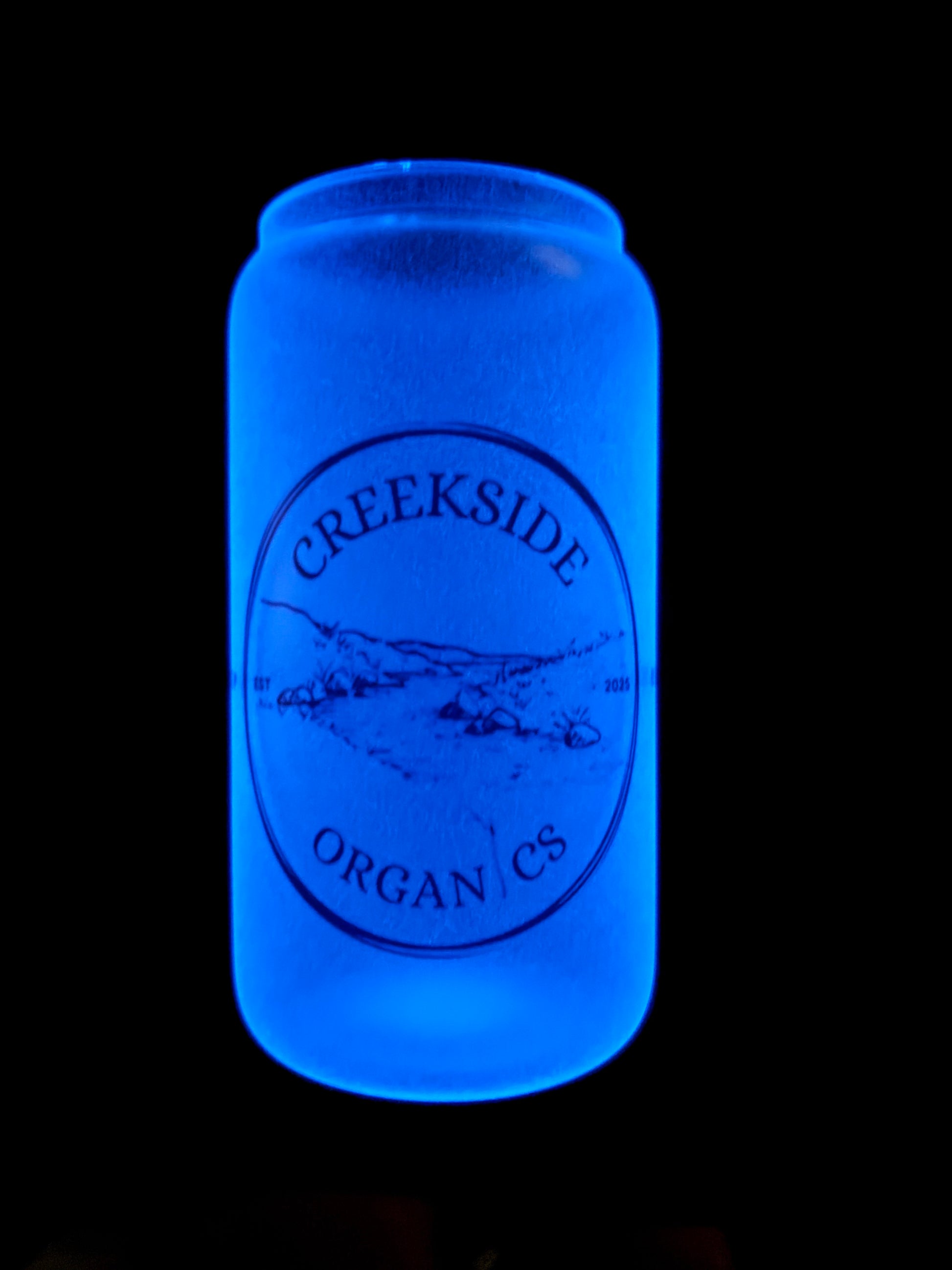 Glow-in-the-Dark Glass Can Tumbler – 16 oz