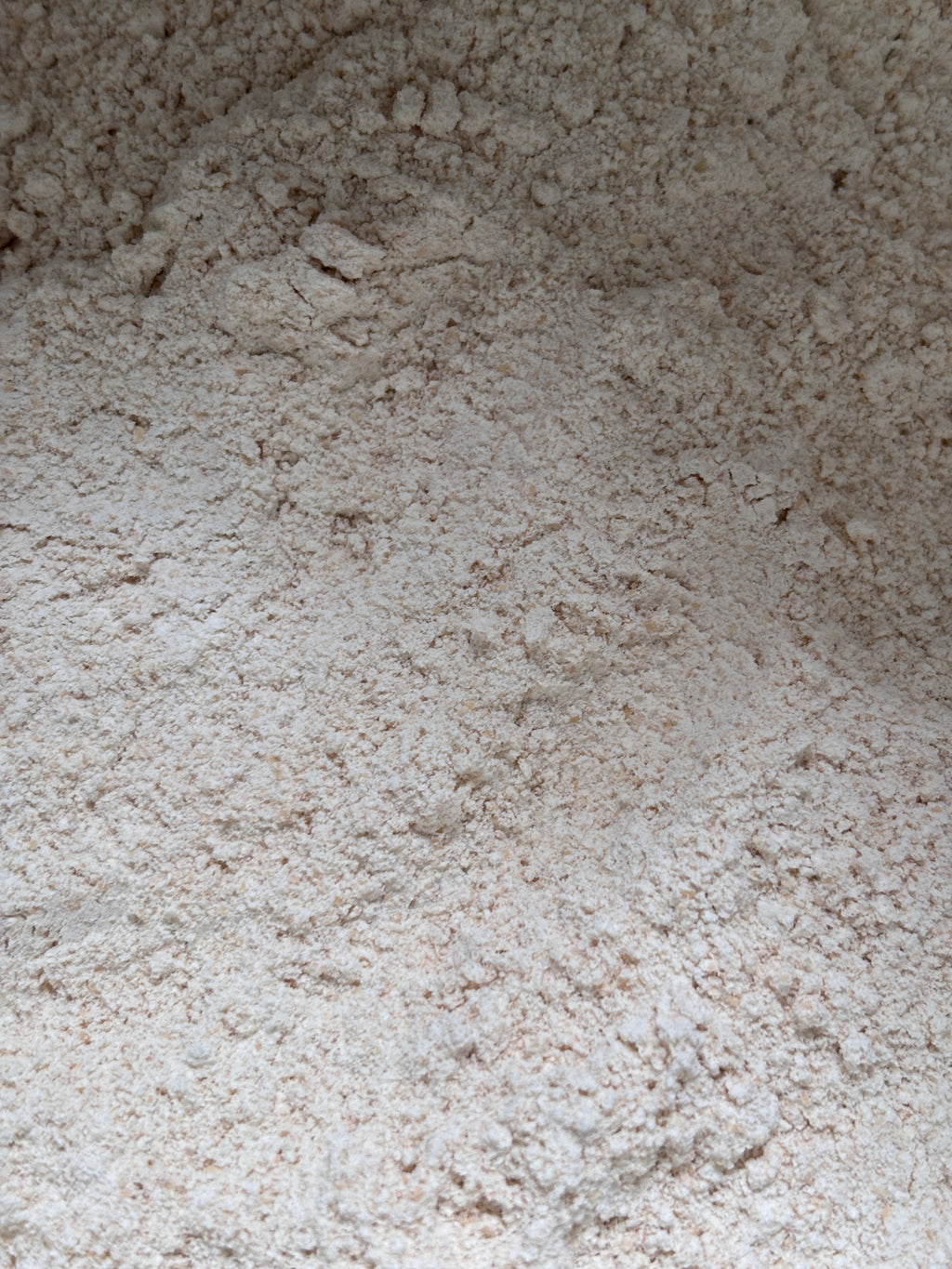 Fresh-Milled Whole Wheat Flour-Soft White Wheat