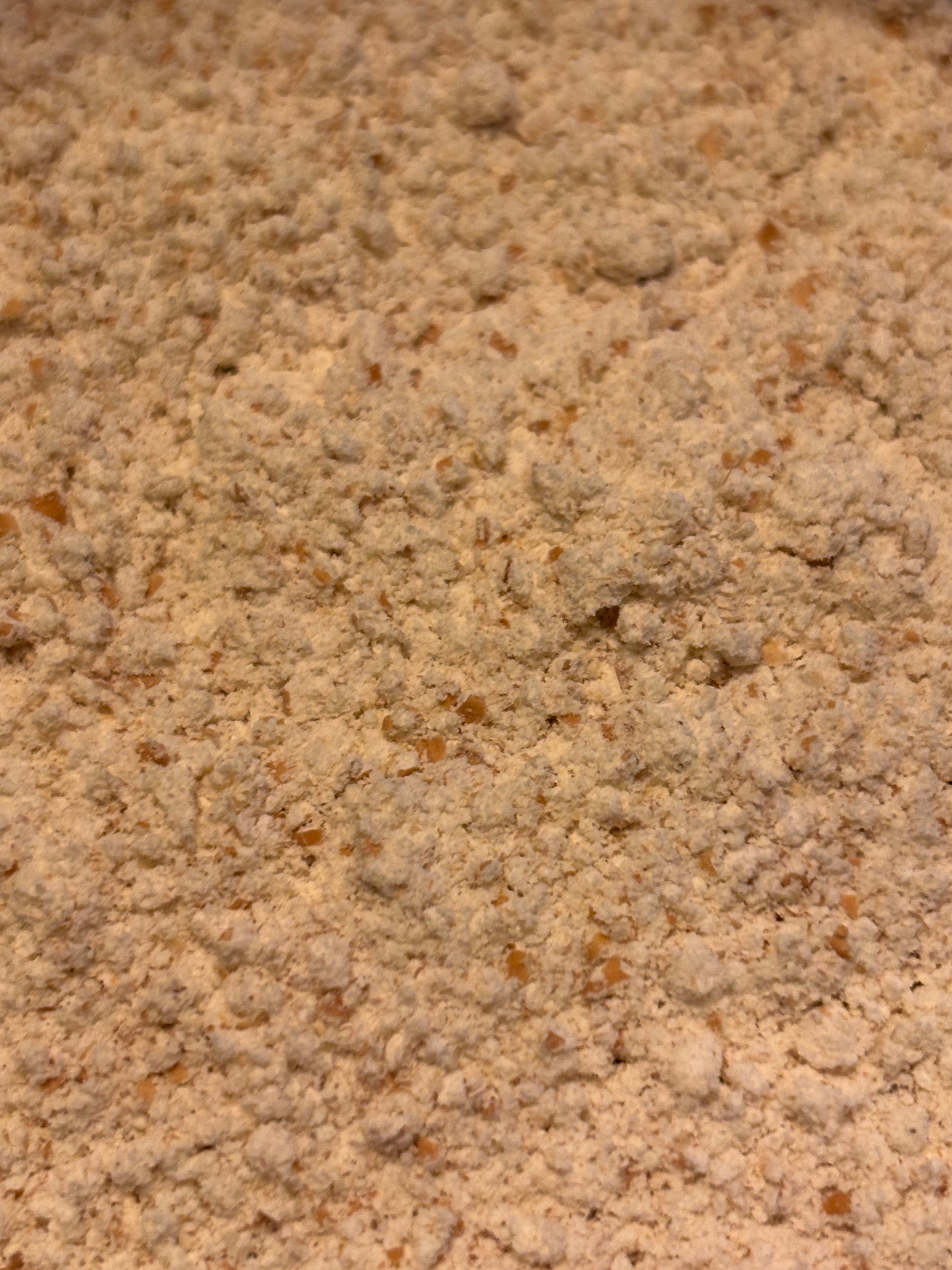 Fresh-Milled Whole Wheat Flour-Spelt