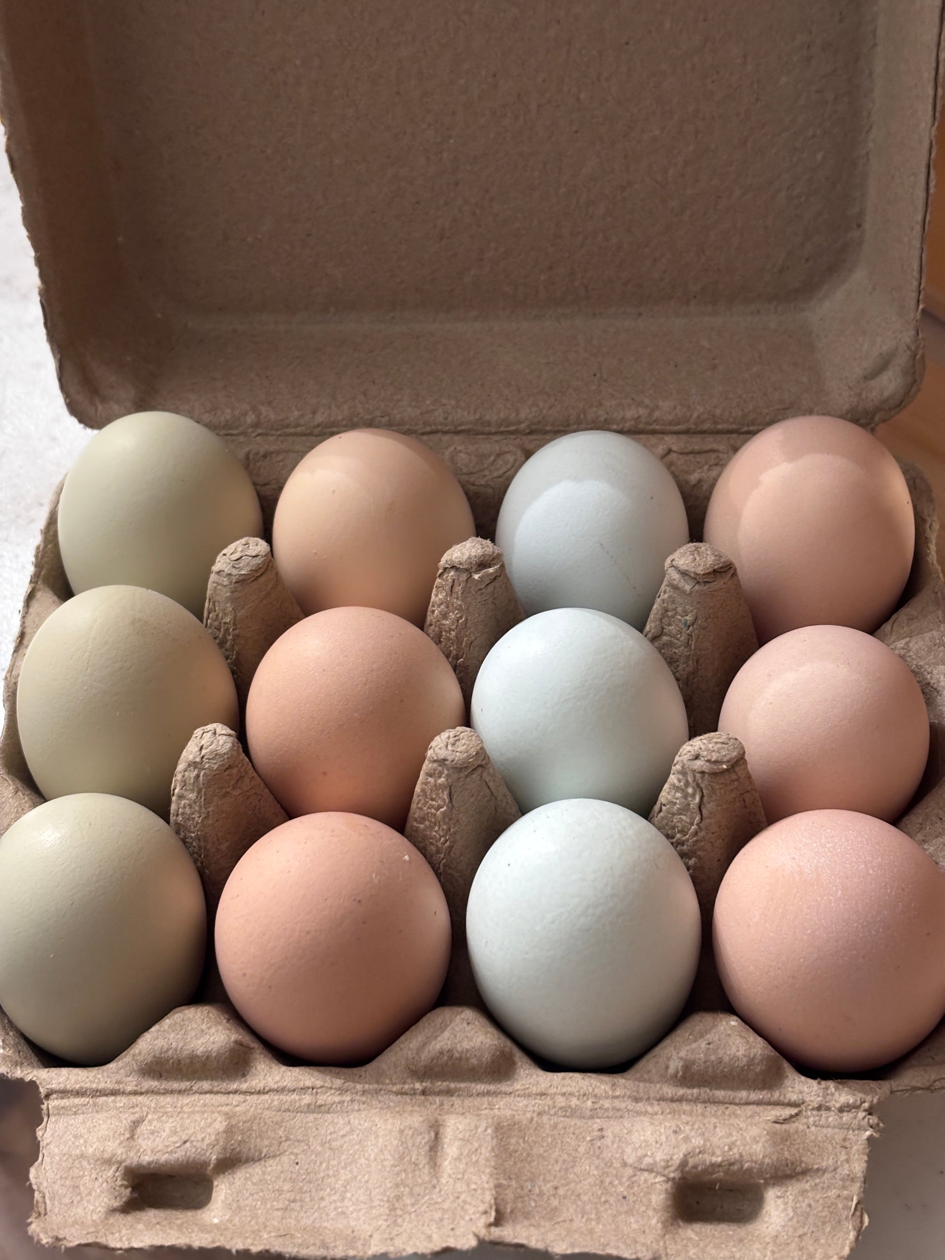 Chicken eggs