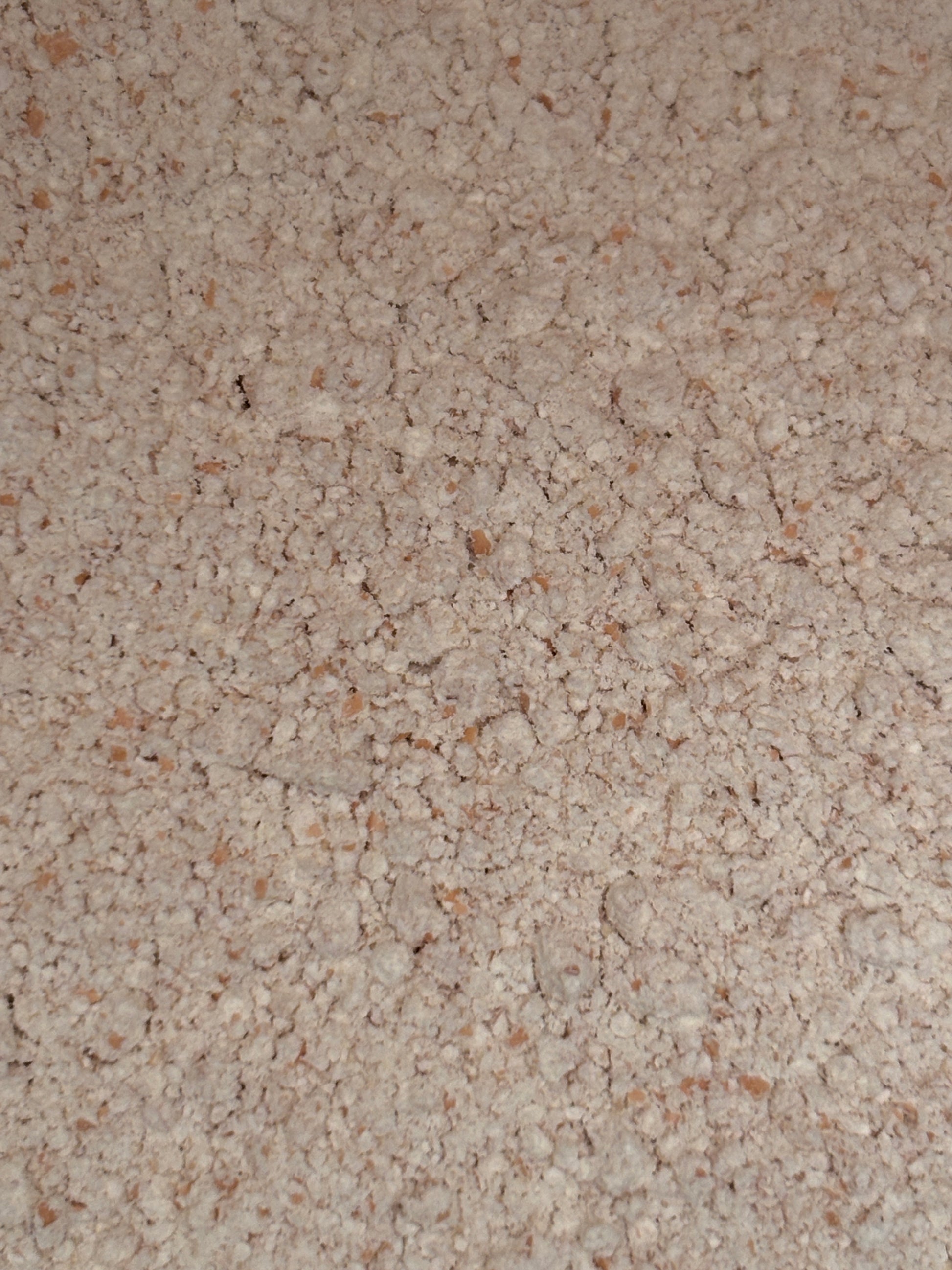 Organic Fresh milled whole wheat flour